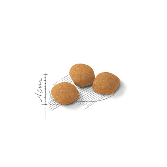 غذای گربه پروتئین اگزیجنت رویال کنین – Royal Canin Protein Exigent — تصویر ۲