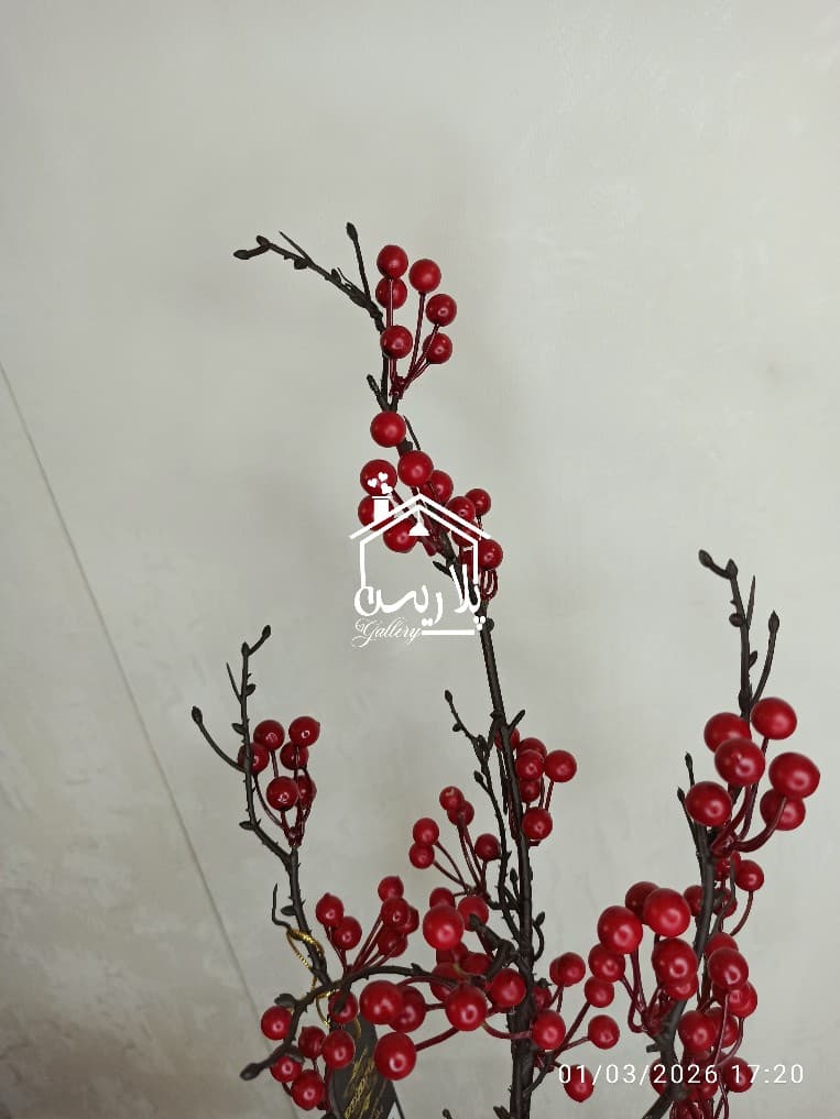 شاخه ردبری جدید 16332 — تصویر ۵