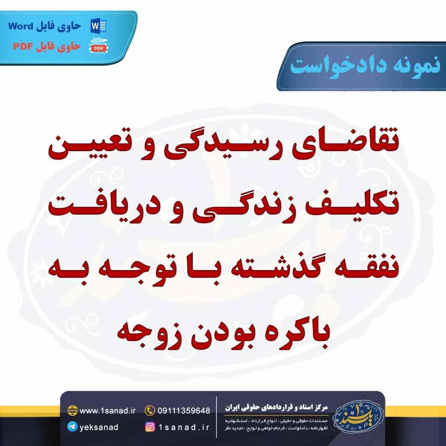 نمونه دادخواست تقاضای رسیدگی و تعیین تکلیف زندگی — تصویر ۲
