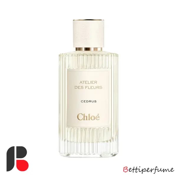 عطر ادکلن کلوهه سدروس | Chloe Cedrus — تصویر ۲
