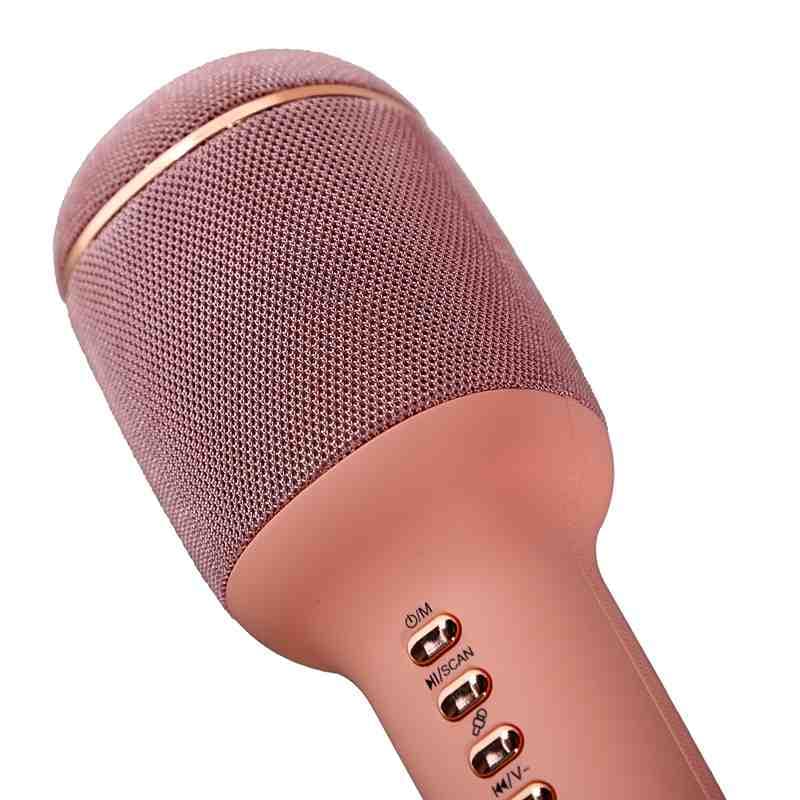 میکروفن فانتزی مدل WS900 (پس کرایه)