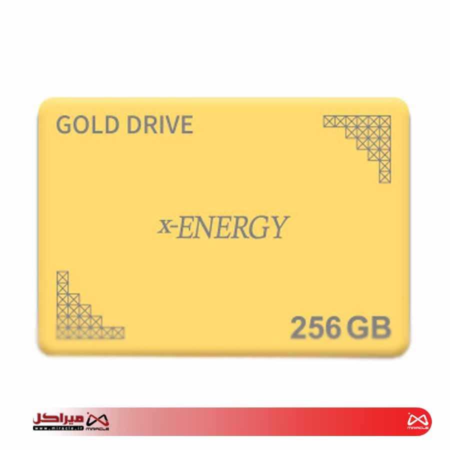 SSD X-E GOLD DRIVE 2.5 256GB
