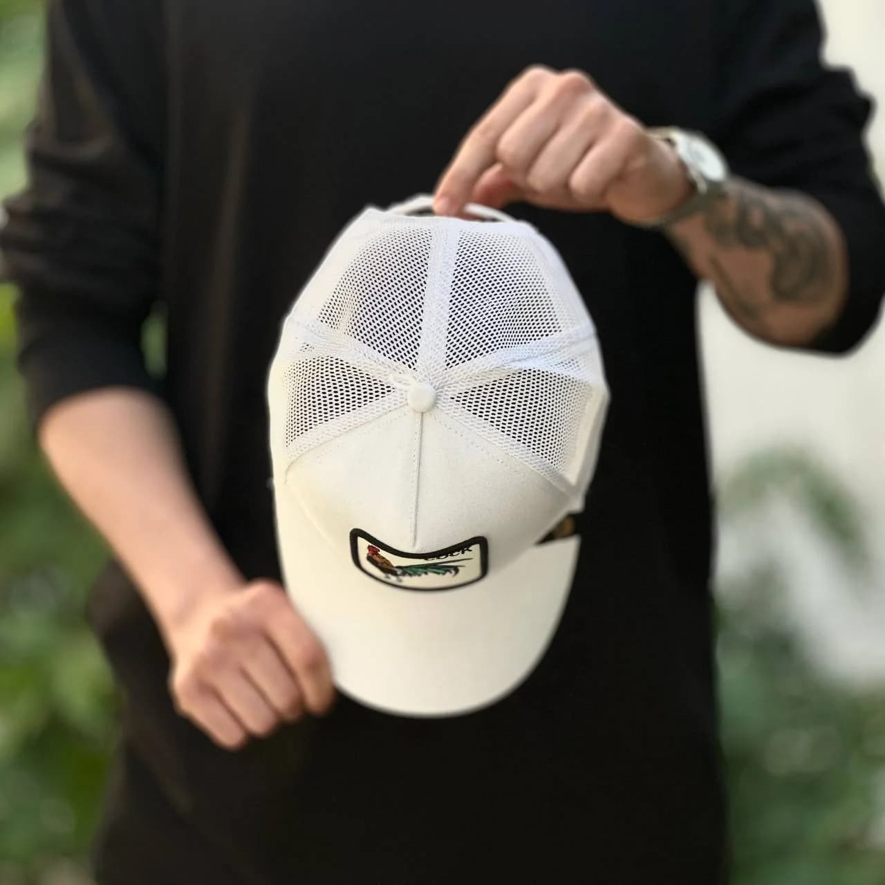 کلاه گورین خروس سفید — تصویر ۴