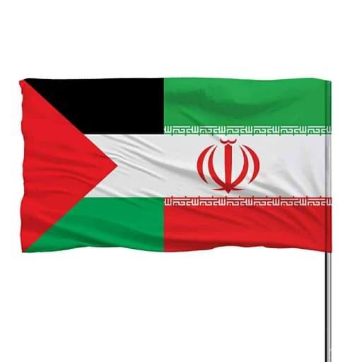 پرچم ایران بهمراه پرچم فلسطین 10عددی — تصویر ۲