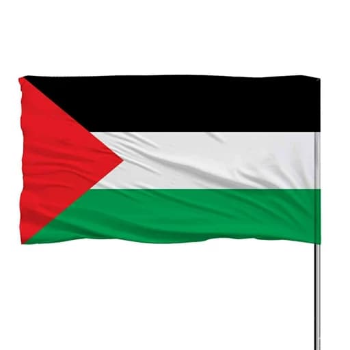 پرچم فلسطین 10عددی — تصویر ۲
