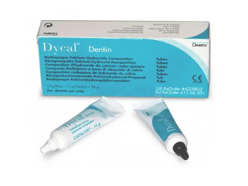 دایکال سلف دنسپلی Daycal Dentsply — تصویر ۵