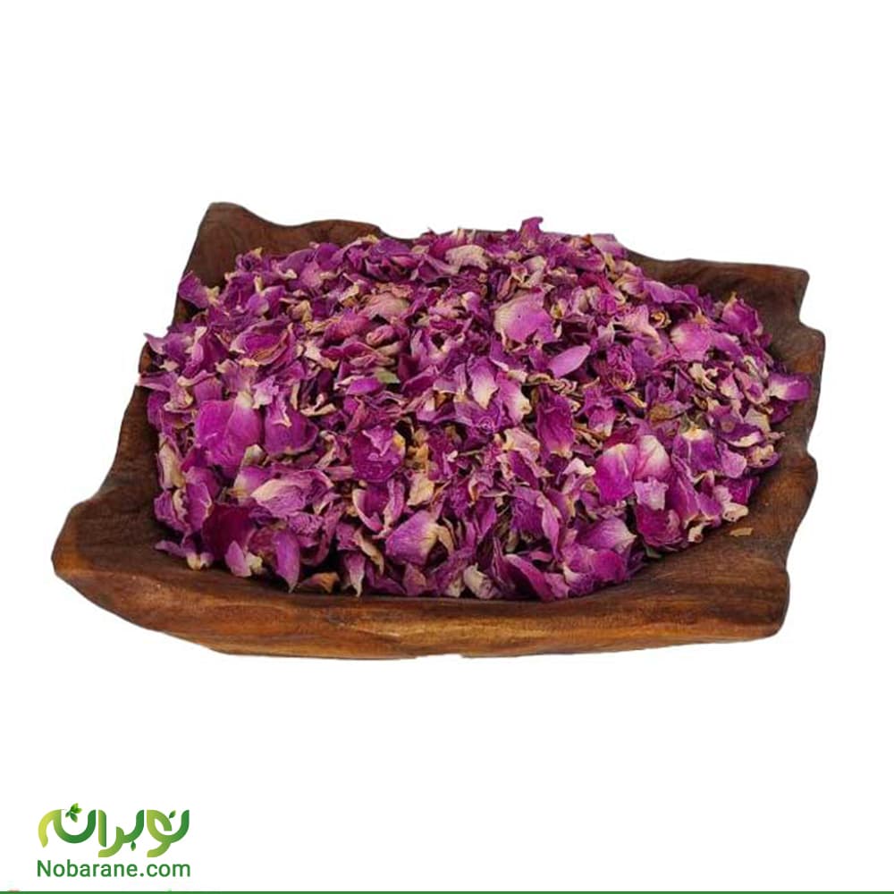 گل محمدی پر