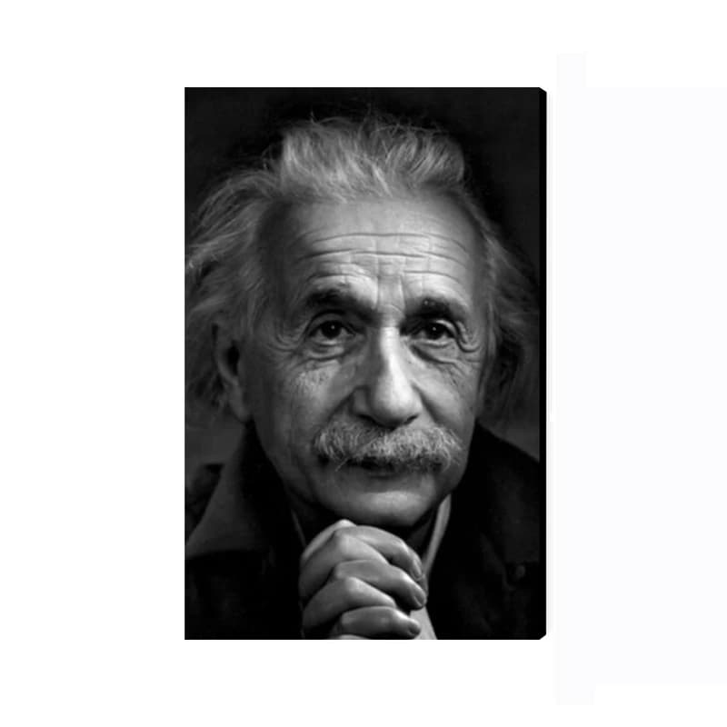 تابلو شاسی مدل مشاهیر آلبرت انیشتین Albert Einstein کد As2754