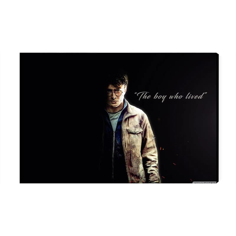تابلو شاسی مدل هری پاتر Harry Potter کد As2705
