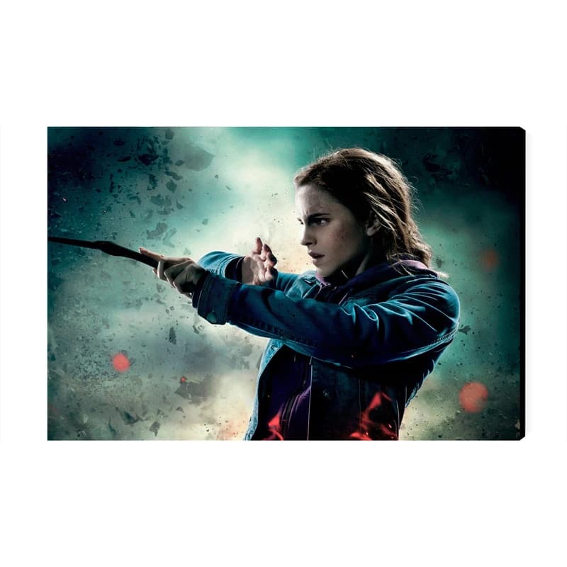 تابلو شاسی مدل هری پاتر Harry Potter کد As2703