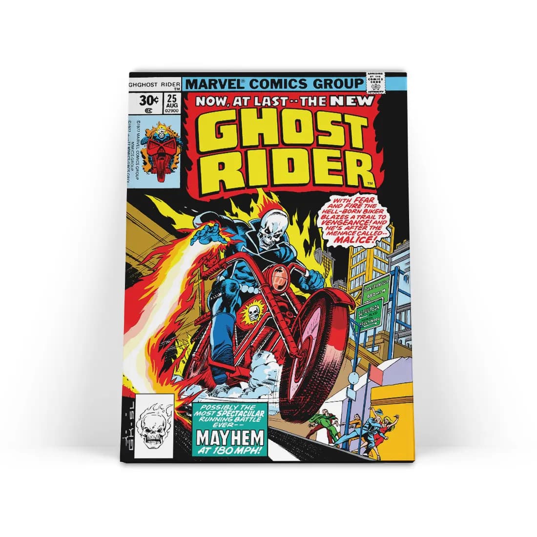 تابلو شاسی روح سوار Ghost Rider 2