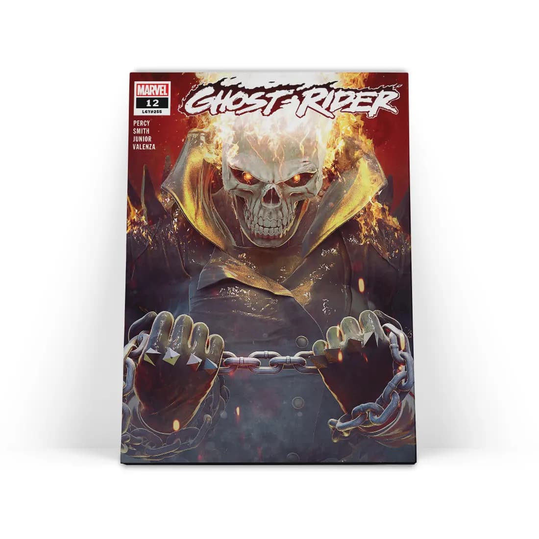 تابلو شاسی روح سوار Ghost Rider