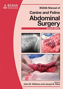 راهنمای جراحی شکمی سگ و گربه BSAVA ۲۰۱۵ <br> BSAVA Manual of Canine and Feline Abdominal Surgery 2015