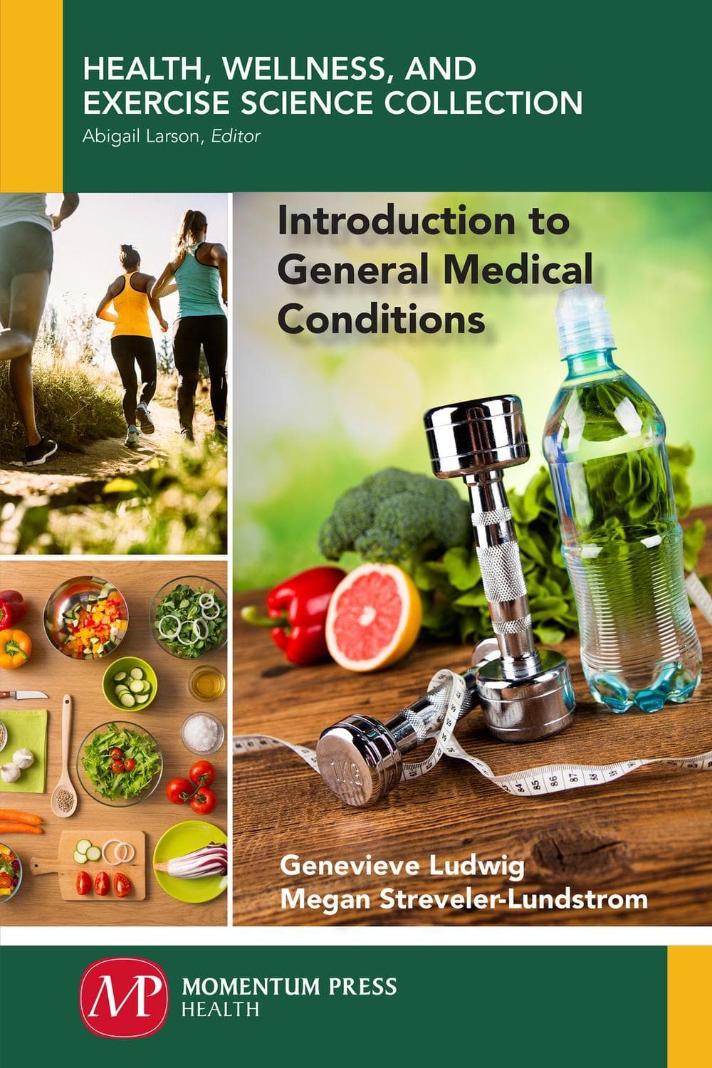آشنایی با بیماری‌های عمومی پزشکی ۲۰۱۷ <br> Introduction to General Medical Conditions 2017