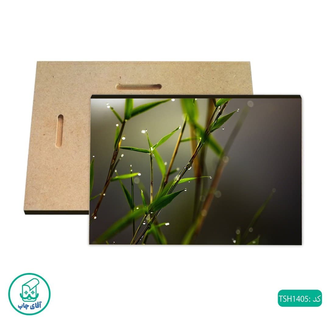 شاسی طرح طبیعت کد TSH1405
