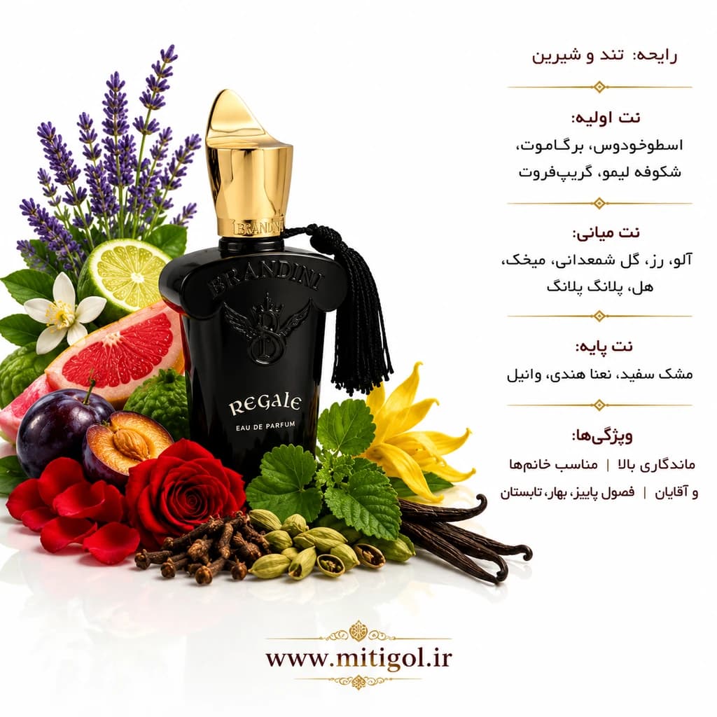 عطر ادکلن رگال برندینی حجم 33میل REGALE — تصویر ۳