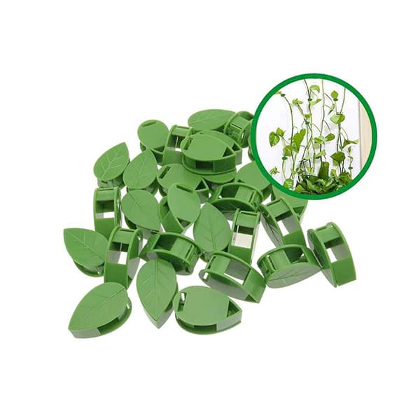 کلیپس گیاه — تصویر ۲