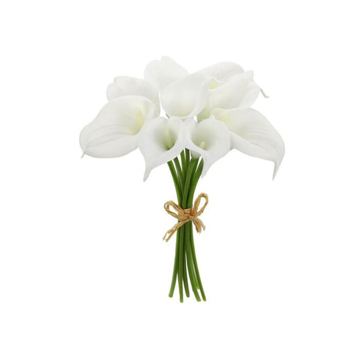 گل شیپوری طبیعی شاخه بریده
