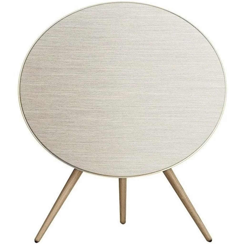 اسپیکر بی سیم بنگ اند آلفسن مدل Beosound A9 5GN — تصویر ۱۰