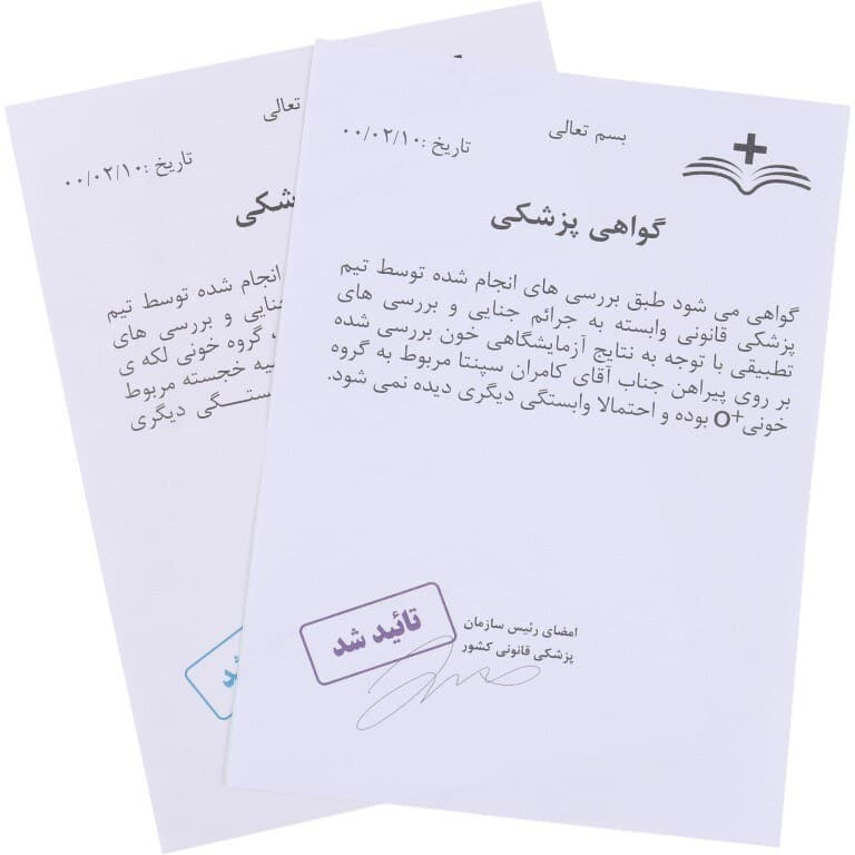 بازی فکری مدل معماهای مختاپوس مدل پرونده جنون از مجموعه راز مرگ — تصویر ۵