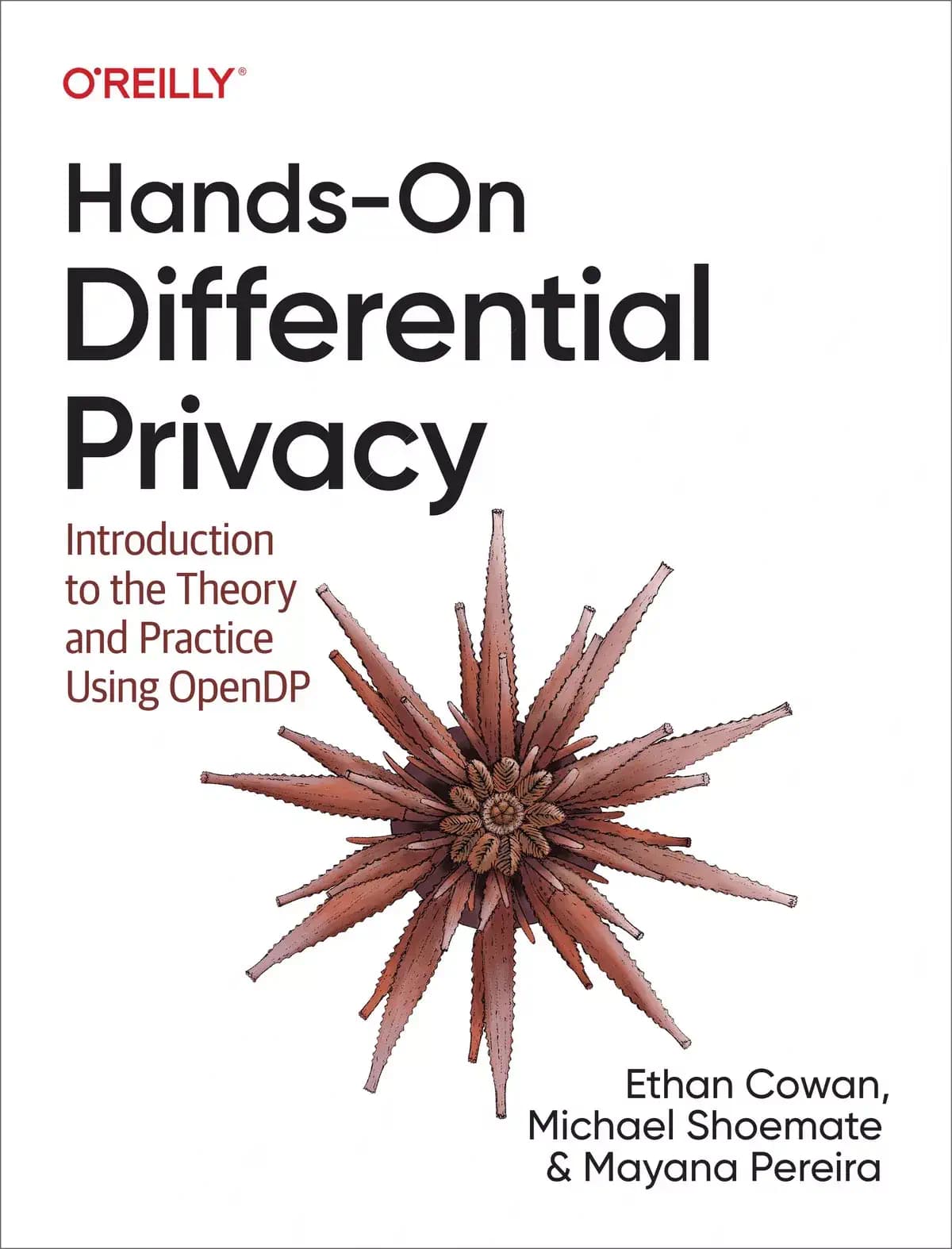 کتاب Hands-On Differential Privacy — تصویر ۲
