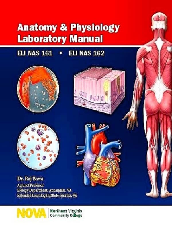 دانلود کتاب Anatomy & Physiology Laboratory Manual