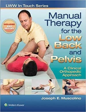 دانلود کتاب Manual Therapy for the Low Back
