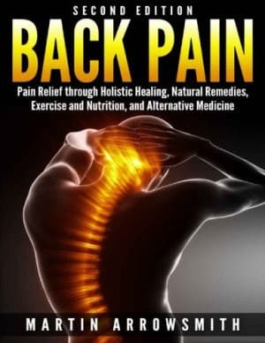 دانلود کتاب Back Pain Pain Relief through Holistic Healing, Natural Remedies