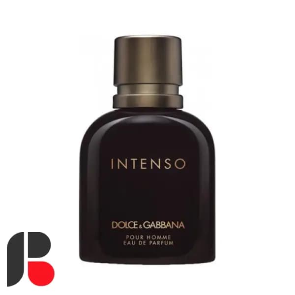 عطر ادکلن دی اند جی دلچه گابانا پور هوم اینتنسو | Dolce Gabbana Pour Homme Intenso — تصویر ۳