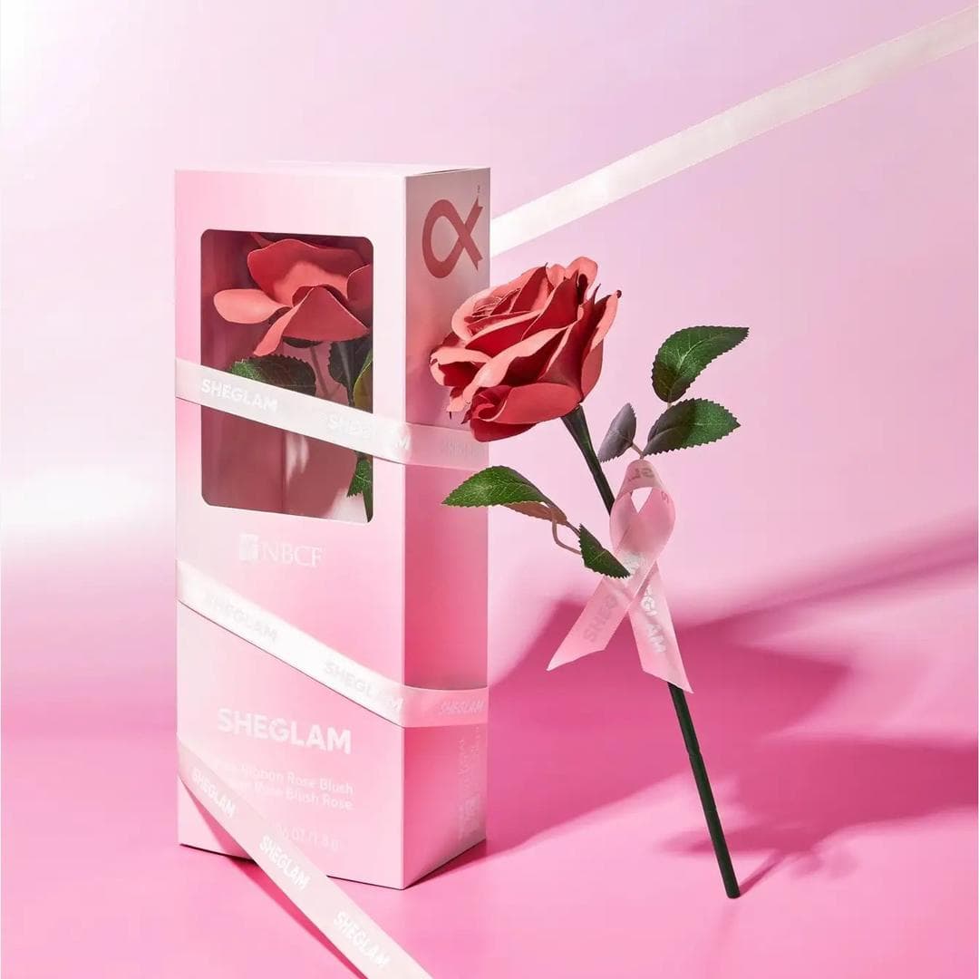 رژگونه گل رز شیگلم | SHEGLAM Rose Blush — تصویر ۴