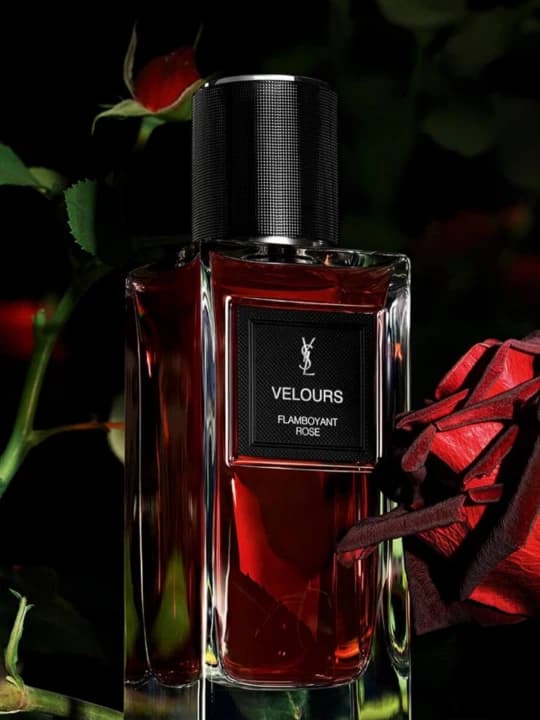 عطر ایو سن لوران ولورز | Yves Saint Laurent Velours — تصویر ۳