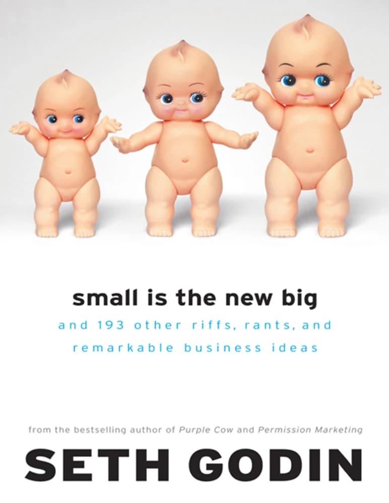 کتاب Small Is the New Big (کوچک، بزرگِ جدید است) نسخه انگلیسی PDF | ست گادین — تصویر ۴