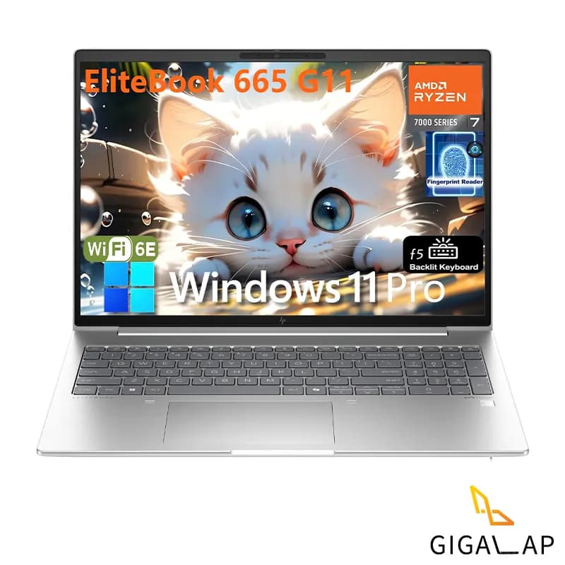 لپ تاپ استوک HP ELITEBOOK 665 G11 | R7-7735U |16GB|512 AMD |16,1 FHD