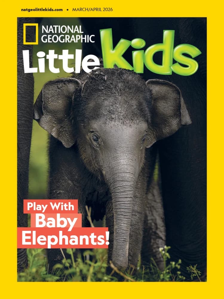 کتاب National Geographic Little Kids USA – March/April 2026 (نشنال جئوگرافیک کودکان آمریکا – مارس/آوریل ۲۰۲۶) نسخه انگلیسی PDF