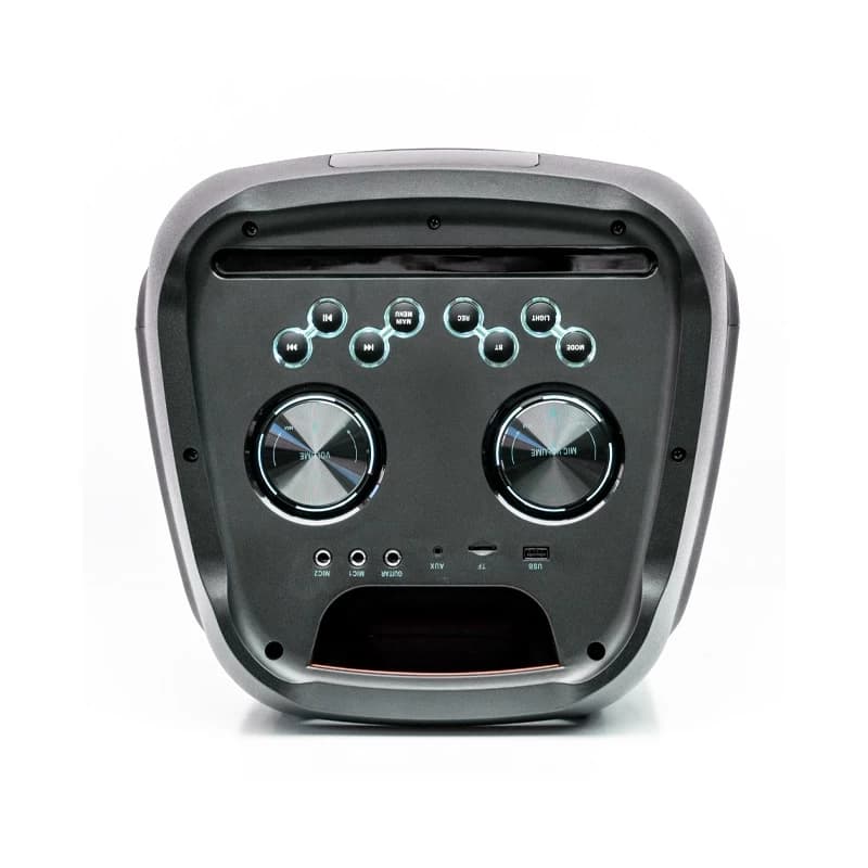 اسپیکر میکرولب مدل Microlab flame 101 — تصویر ۳