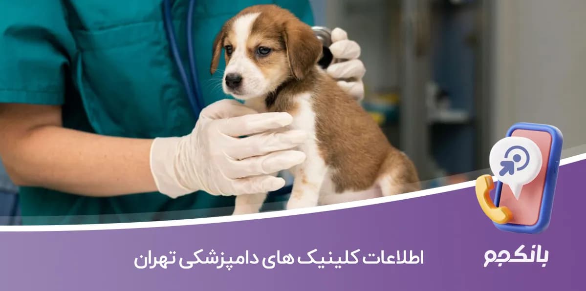 اطلاعات کلینیک های دامپزشکی تهران