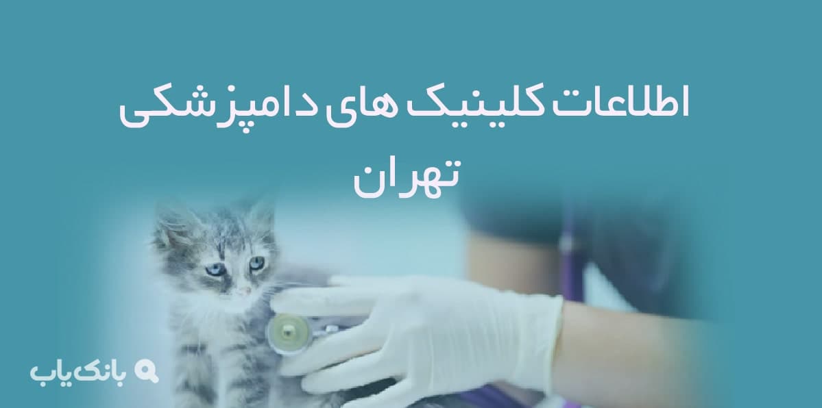 اطلاعات کلینیک های دامپزشکی تهران — تصویر ۲