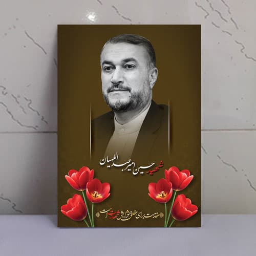 قاب شاسی شهدای خدمت شهید حسین امیر عبداللهیان