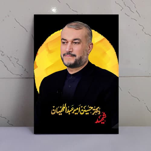 قاب شاسی شهید امیر عبداللهیان