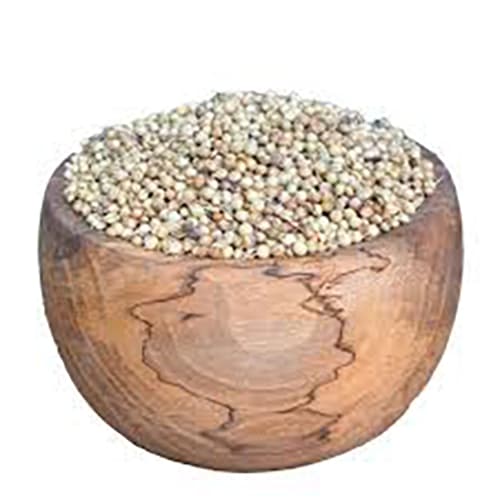 تخم گشنیز درشت درجه یک دارالشفاء