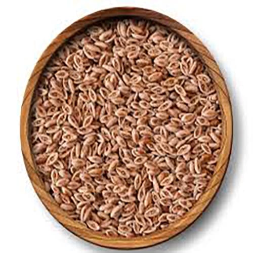 اسفرزه اعلاء دارالشفاء