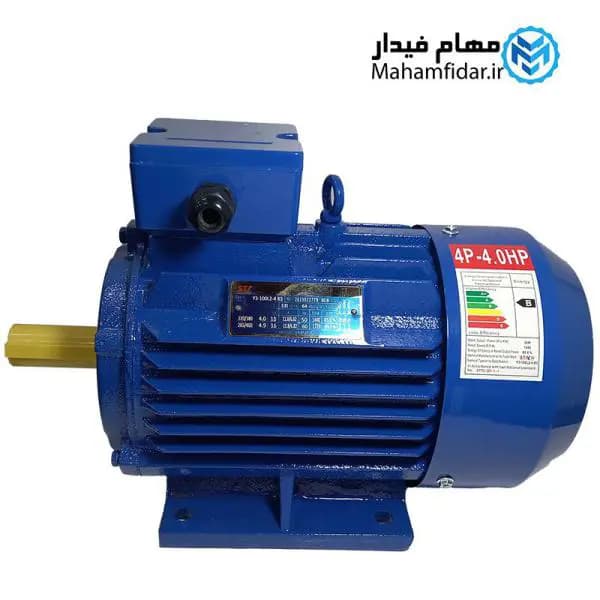 الکتروموتور پوسته چدن 3 کیلووات 4 اسب سه فاز استیکو — تصویر ۲