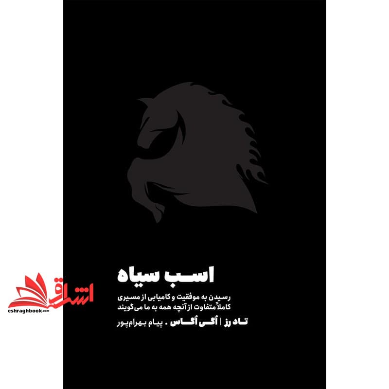 کتاب اسب سیاه (رسیدن به موفقیت و کامیابی از مسیری کاملا متفاوت از آنچه همه به ما می گویند) — تصویر ۳