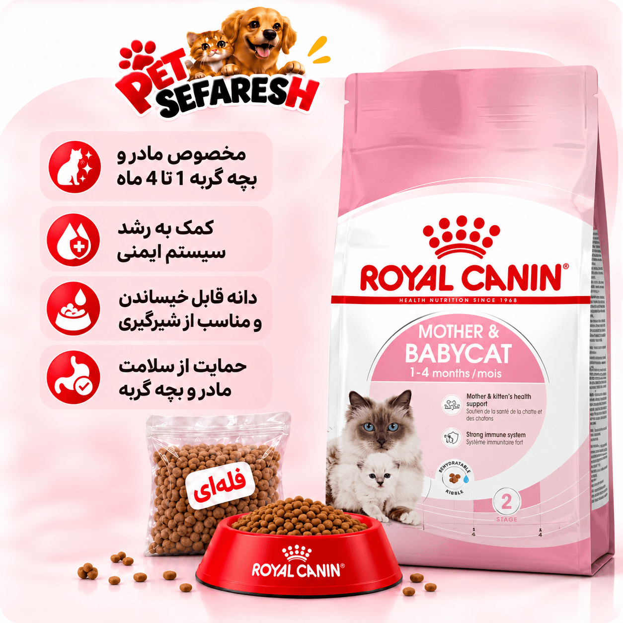 غذای خشک فله‌ای گربه مادر و بچه‌گربه رویال کنین مدل مادر اند بیبی‌کت | Royal Canin Mother & Babycat Dry Cat Food — تصویر ۲