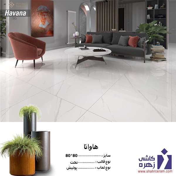 سرامیک پرسلان هاوانا 80*80 کاشی زهره — تصویر ۲