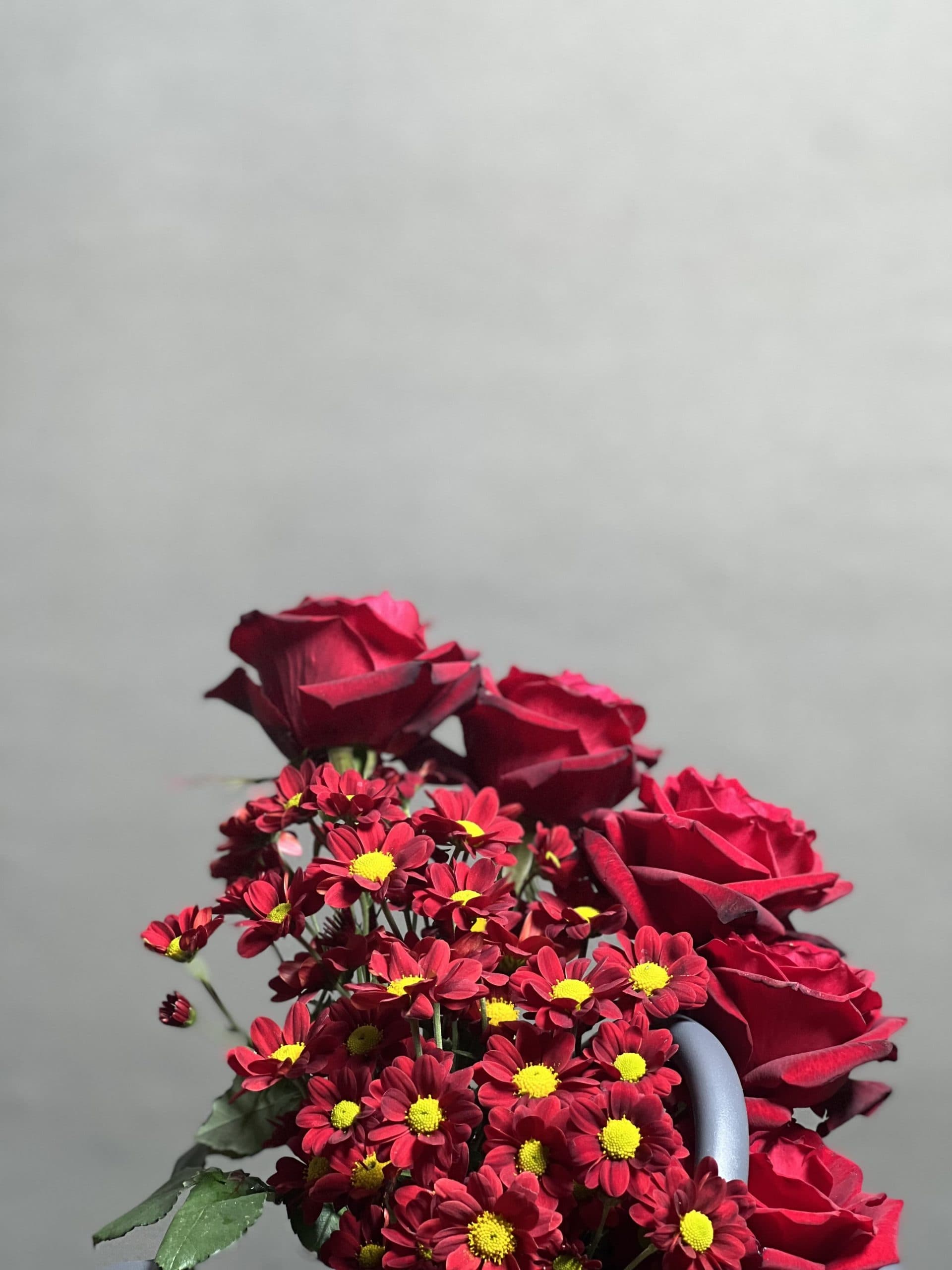 باکس گل رز قرمز طرح پندی — تصویر ۴