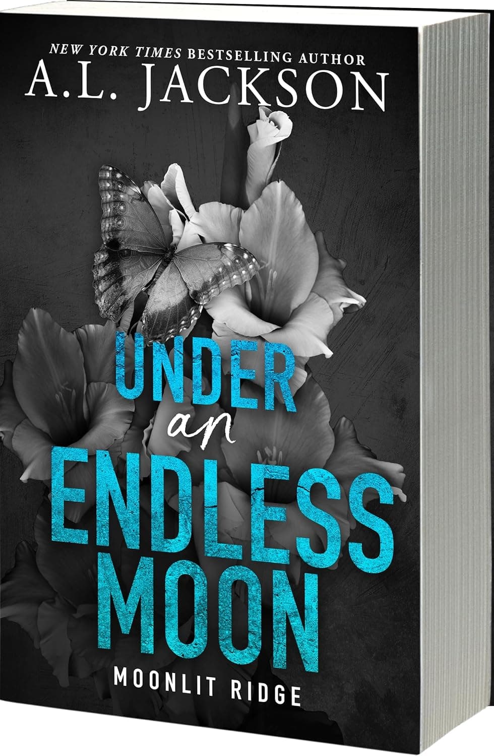 Under an Endless Moon (Moonlit Ridge Book 2) زیر یک ماه بی‌پایان (متن کامل بدون حذفیات)