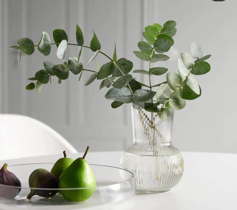 گلدان شیشه ای طرح ایکیا دنیز
