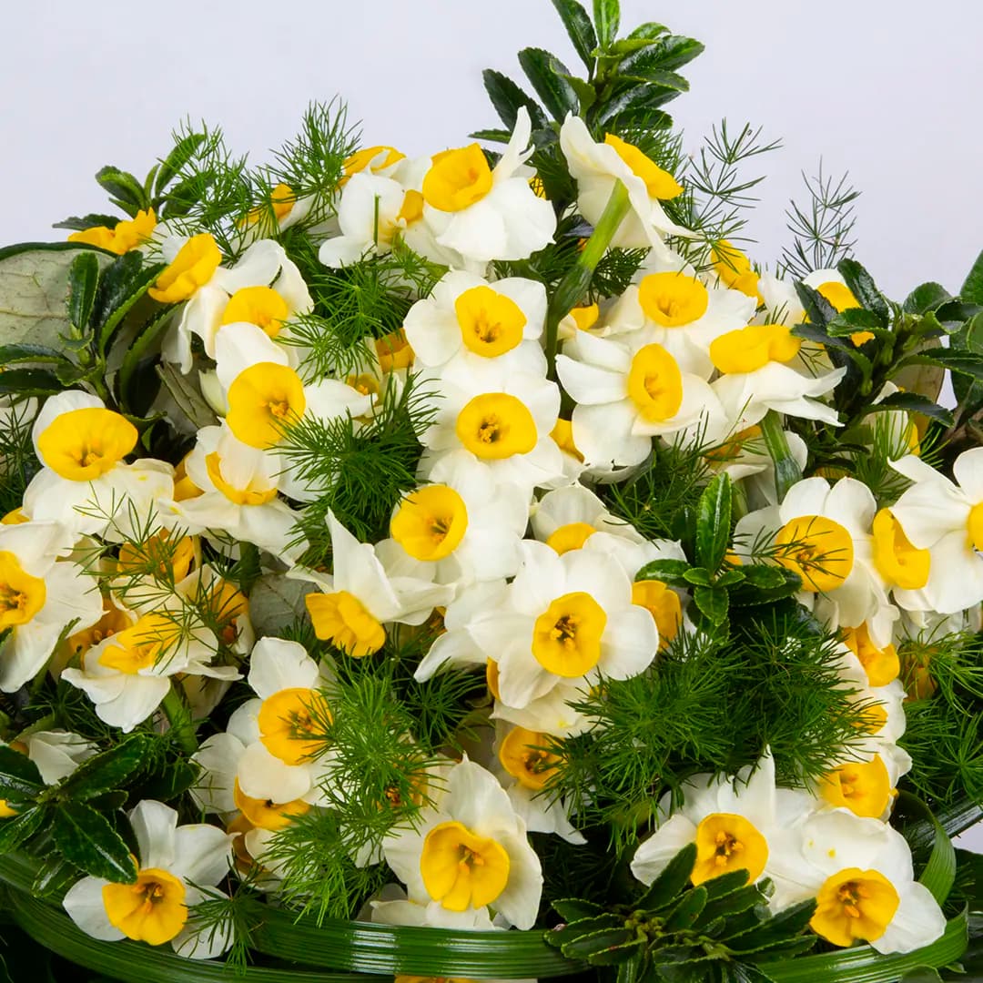 دسته گل نرگس 30 شاخه ای کد 6340 — تصویر ۲