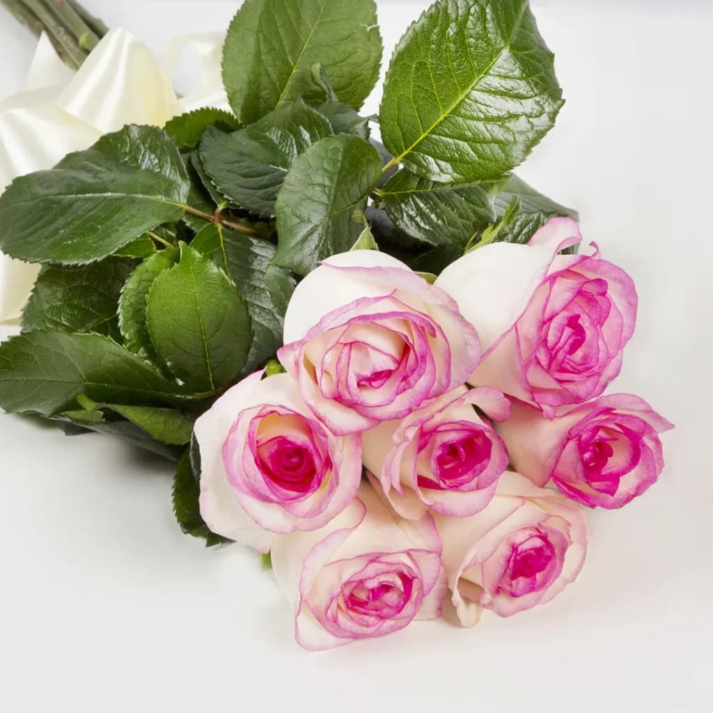 دسته گل رز هلندی لب ماتیکی کد 6210 — تصویر ۳
